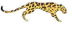 Scara pisica RARIS, asamblabila, cu mai multe tronsone, din otel inoxidabil, tip SP2TN